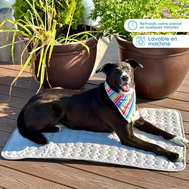 "Tapis refroidissant pour animaux, bleu, pliable, taille L, offrant confort et frais, idéal intérieur/extérieur."