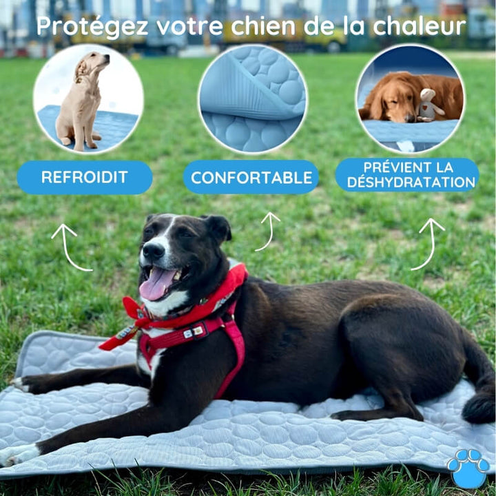 "Tapis refroidissant pour animaux, bleu, pliable, taille L, offrant confort et frais, idéal intérieur/extérieur."