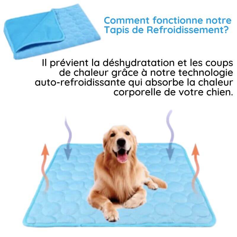 "Tapis refroidissant pour animaux, bleu, pliable, taille L, offrant confort et frais, idéal intérieur/extérieur."