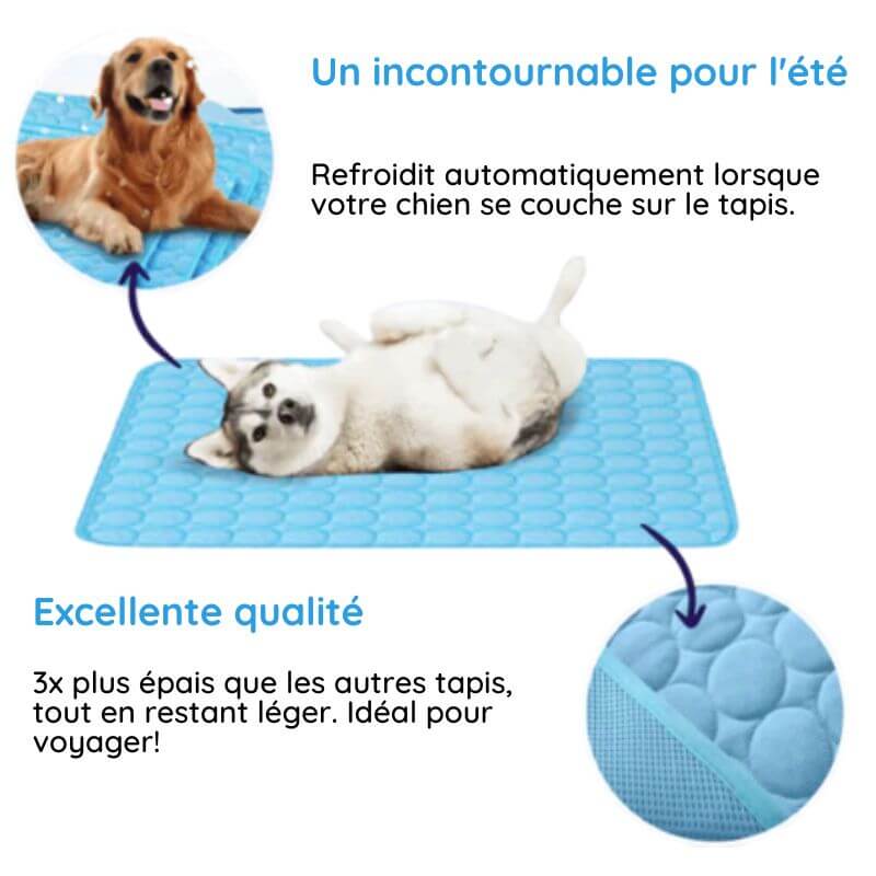 "Tapis refroidissant pour animaux, bleu, pliable, taille L, offrant confort et frais, idéal intérieur/extérieur."