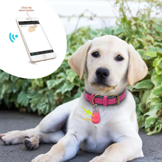 Tracker GPS pour animaux, compact et imperméable, fixable au collier, suivi précis en temps réel, alarme zones sécurisées.