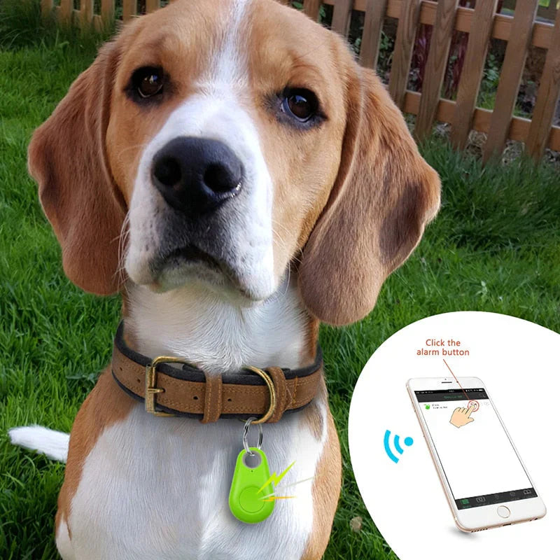 Tracker GPS pour animaux, compact et imperméable, fixable au collier, suivi précis en temps réel, alarme zones sécurisées.