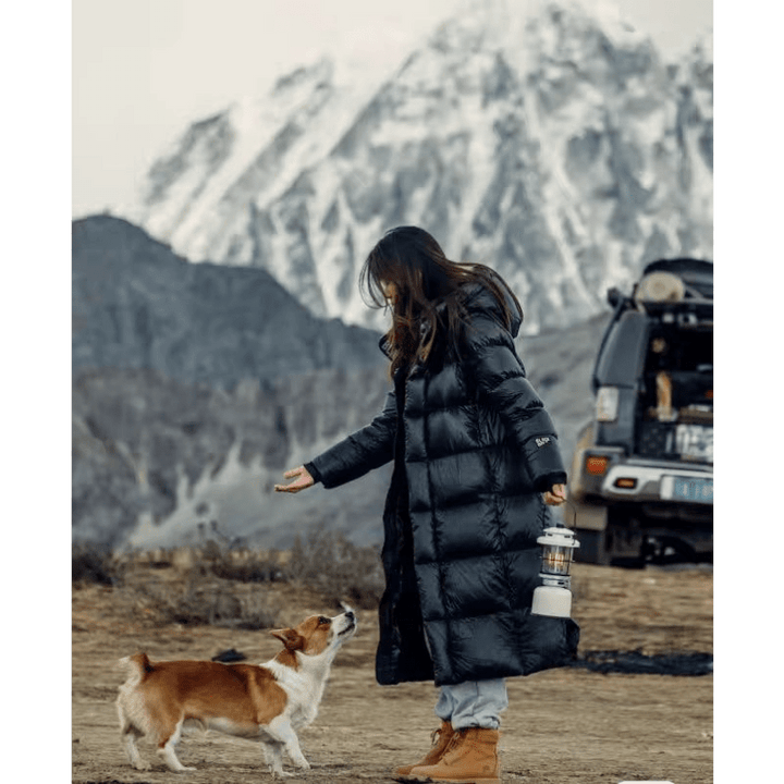 "Veste d'hiver femme en duvet, imperméable, coupe moderne, couleur neutre, idéale pour le froid avec capuche amovible."